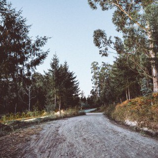 Телеграм бот 𝐆𝐀𝐌𝐄𝐃𝐀𝐘• ПРОГНОЗЫ НА ХОККЕЙ